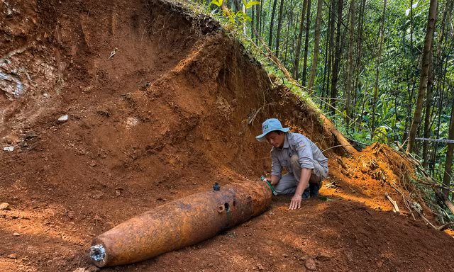 Mở đường khai thác gỗ, ‘đụng’ phải bom khủng