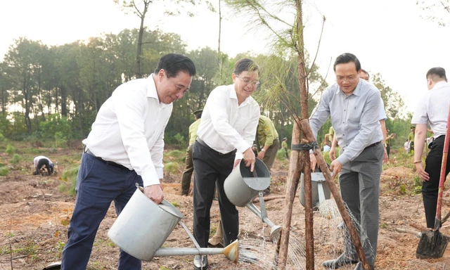 Huế kêu gọi người người trồng cây, nhà nhà trồng cây dịp đầu năm mới