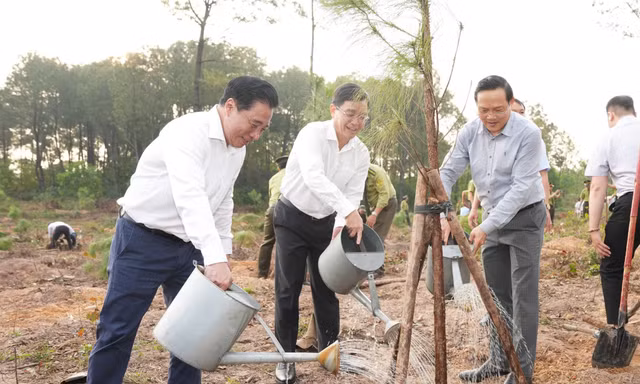 Huế kêu gọi người người trồng cây, nhà nhà trồng cây dịp đầu năm mới
