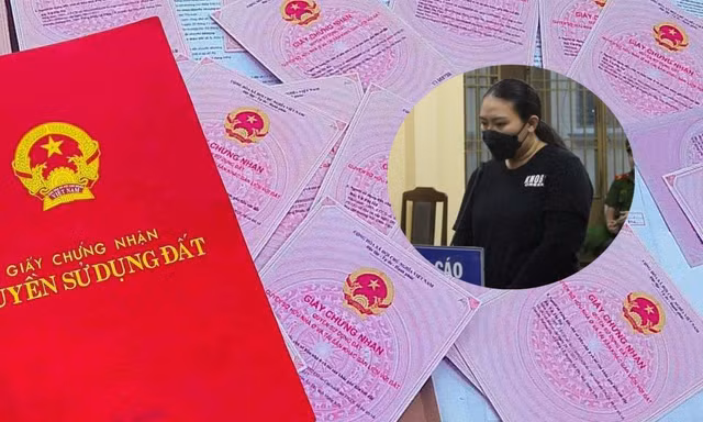 Đấu giá 11 lô đất của 'nữ quái' lừa đảo bán đất ảo ở Đà Nẵng