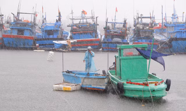 Bão số 5 liên tục tăng cấp, Đà Nẵng ra công điện khẩn sẵn sàng ứng phó