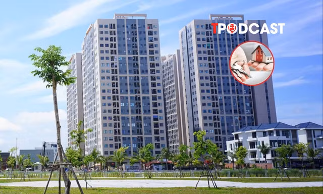Hộ gia đình, cá nhân cho thuê nhà phải nộp những loại thuế nào?