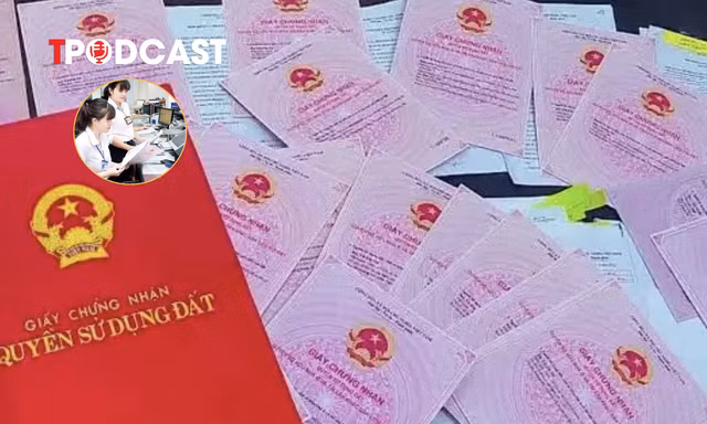 Thủ tướng yêu cầu nghiên cứu phân loại bất động sản để quy định hạn mức tín dụng