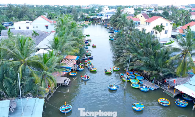 Có gì ở ngôi làng giữa rừng dừa nước được Forbes vinh danh?