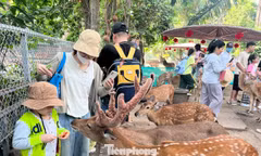 Chính thức có thêm một ngày nghỉ làm việc hưởng nguyên lương 