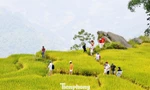 Du khách đổ về Y Tý, đắm chìm với ruộng bậc thang đẹp nhất Tây Bắc