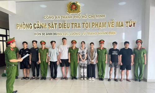 Ngụy trang ma túy trong hộp thức ăn thú cưng để đưa đi tiêu thụ