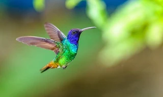 Hãy làm những gì bạn có thể