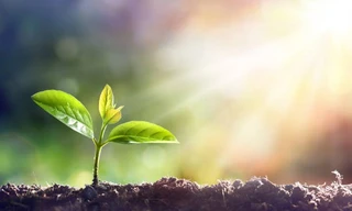 Gieo trồng hạnh phúc