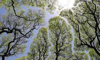 Khi họ 'xâm phạm' đến chúng ta