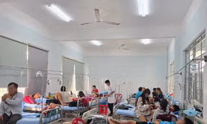 Tạm đình chỉ cơ sở bánh mì liên quan 80 người nghi ngộ độc để phục vụ điều tra