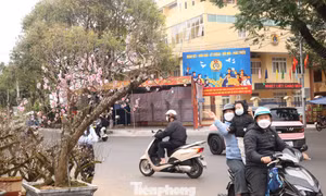 Ngợp sắc xuân với muôn loài 'kỳ hoa, dị thảo' ở Đắk Lắk