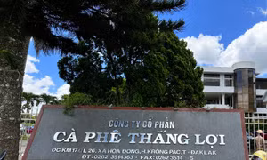 Thu hồi hơn 525ha đất liên kết trồng cà phê ở Đắk Lắk