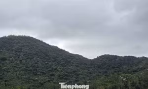 Sức khoẻ của phi công trong vụ rơi máy bay quân sự ở vùng núi Đắk Lắk