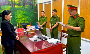 Hiệu trưởng chỉ đạo lập khống hồ sơ để 'rút ruột' gần 500 triệu đồng