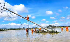 Hơn 80% người dân đã được cấp điện sau bão số 13