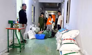 Mua phụ gia thực phẩm từ Trung Quốc rồi 'hô biến' thành hạt nêm