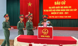Lá phiếu đầu đời của những tân binh 
