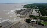 Về nơi biển dâng, đất lùi, rừng mất, nhà trôi ở Cà Mau
