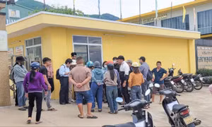 Gia Lai: Công nhân kêu cứu sau nhiều tháng bị nợ lương 
