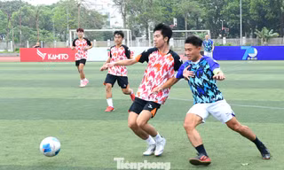 Kỷ lục hơn 500 đội tranh tài giải bóng đá thanh niên