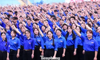 Ban Bí thư T.Ư Đoàn ban hành kế hoạch tổ chức các hoạt động kỷ niệm 95 năm Ngày thành lập Đoàn