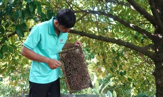 Khởi nghiệp thanh niên nông thôn 2025: Nhiều dự án phát huy tài nguyên bản địa, bảo vệ môi trường ghi danh