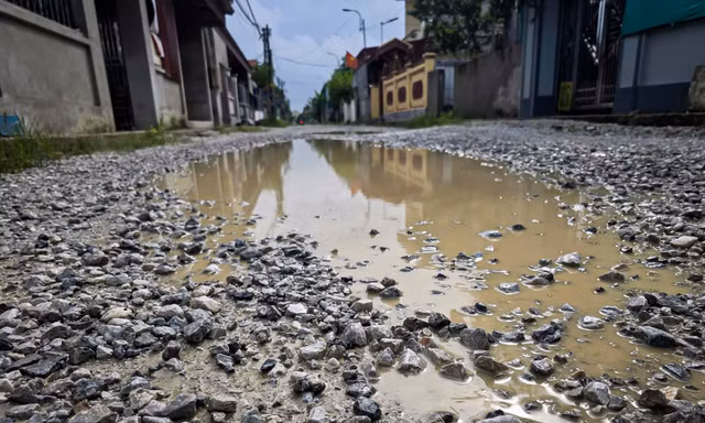 Dân khốn khổ vì đường lầy lội như ruộng ở Ninh Bình 