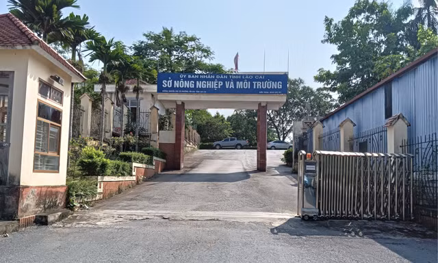 Nam cán bộ Sở Nông nghiệp và Môi trường Lào Cai tử vong trong tư thế treo cổ tại cơ quan
