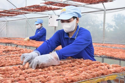 Giá tăng vù vù, đặc sản Cà Mau không có mà bán