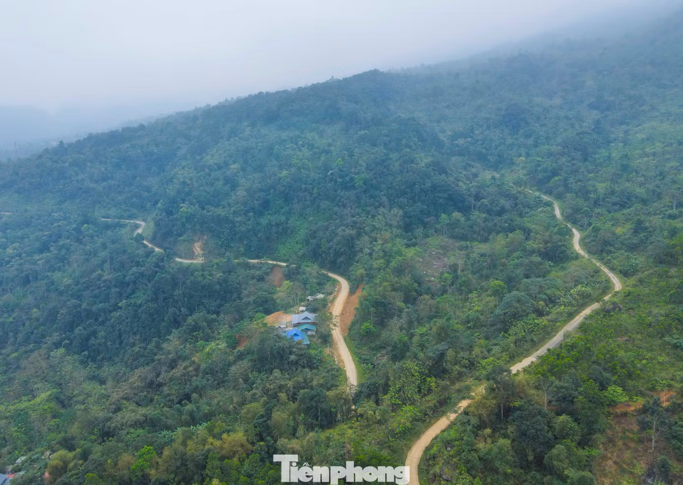 tp-0000.jpg