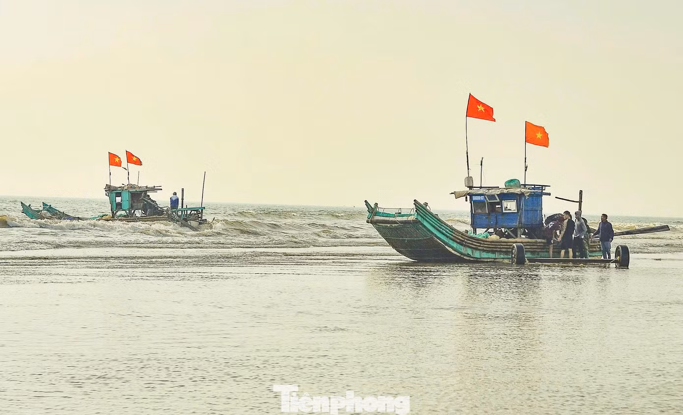 tp-5.jpg