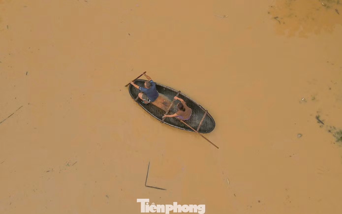 tp-11.jpg