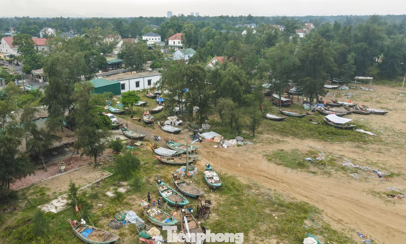 tp-1.jpg