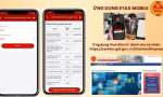 Hơn 95% hồ sơ hoàn thuế tự động, vì sao tiền chưa về tài khoản?
