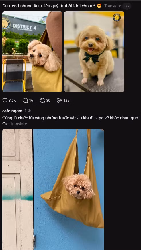 sua.png
