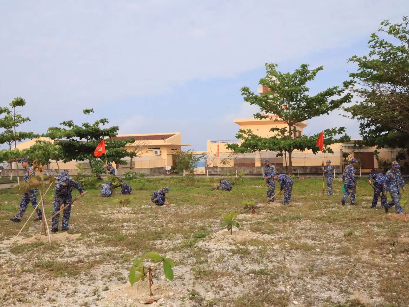 can-bo-chien-si-dao-da-tay-a-huong-ung-tet-trong-cay-phu-them-mau-xanh-tren-dao.jpg