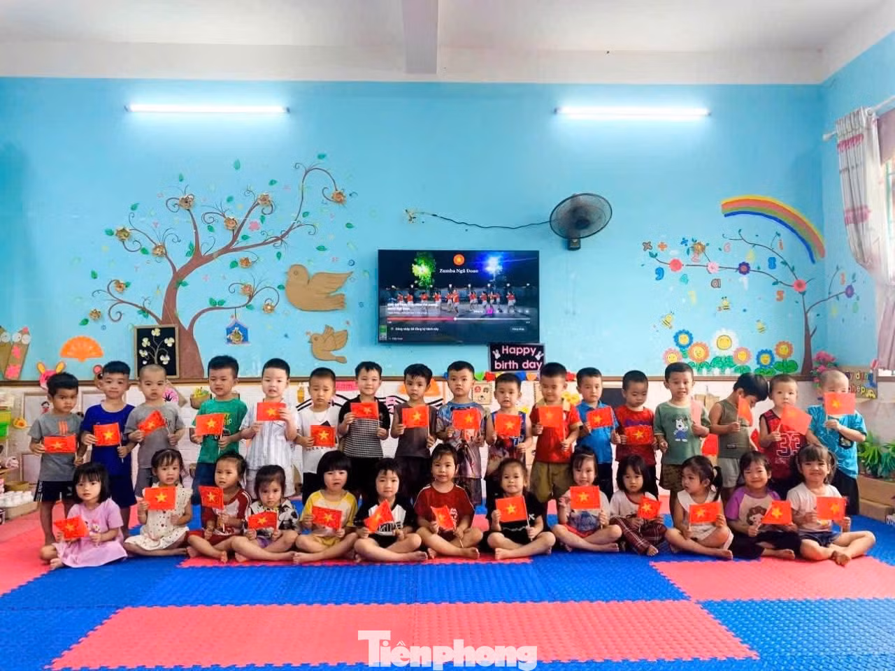 tp-p11.jpg
