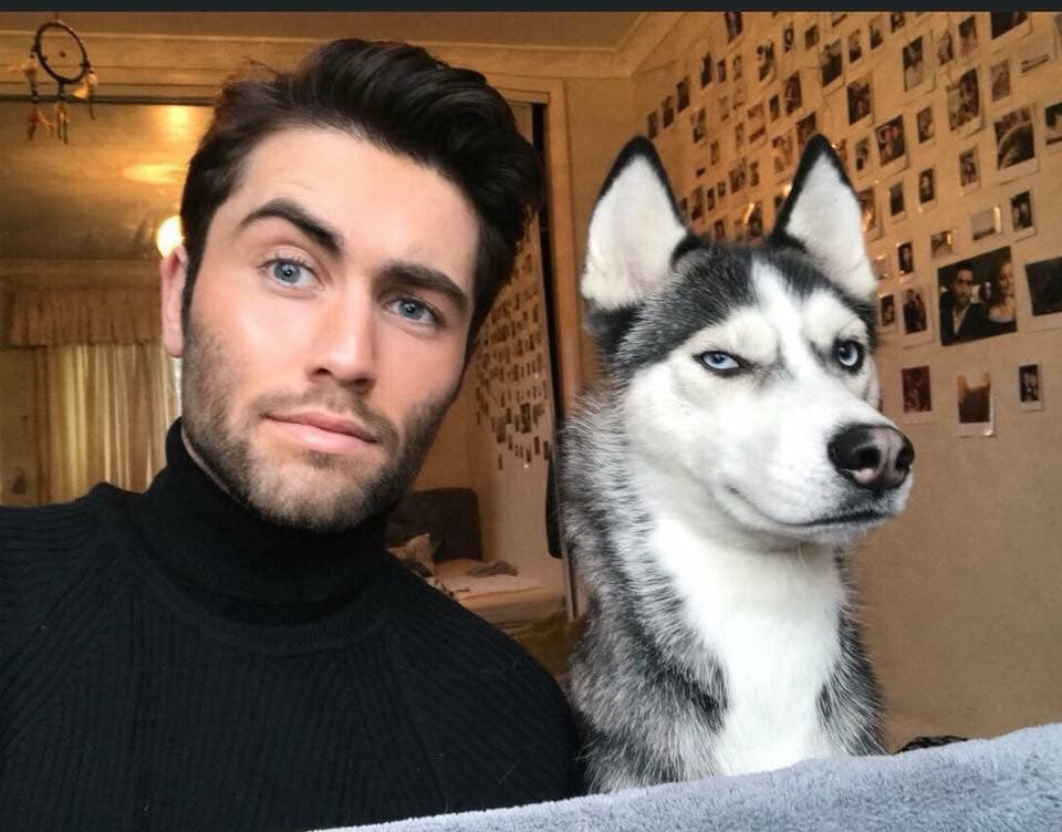 Husky - loài chó “ngáo ngơ” nhất quả đất! | Báo điện tử Tiền Phong