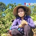 NÓNG 19/9: Diễn biến bất ngờ vụ anh rể phá hoại vườn cây của em vợ vì 'mâu thuẫn tình cảm'