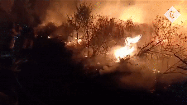 Nhiều nước châu Âu đang phải đối mặt với nạn cháy rừng nghiêm trọng. (Nguồn: Telegraph)