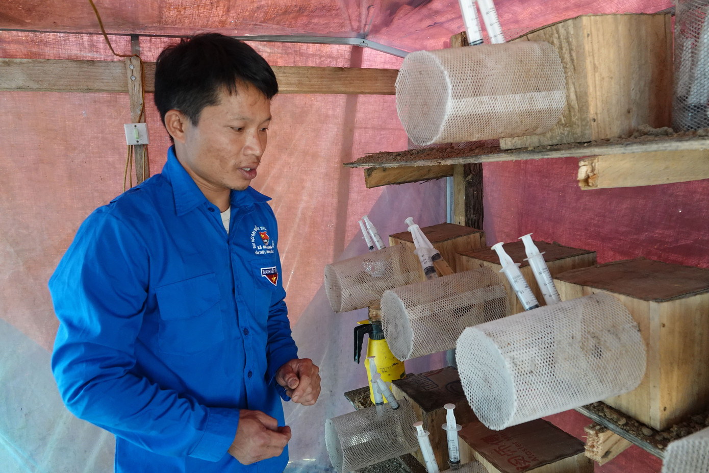 nuoi-ong-dat-9.jpg