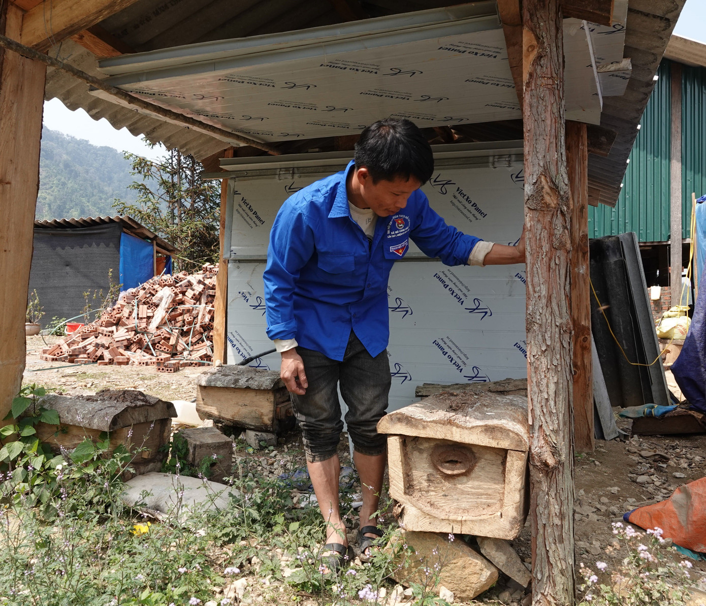 Ngoài cào cào, các đoàn viên thanh niên còn nuôi ong mật để chủ động nguồn thức ăn tự nhiên, giàu dinh dưỡng cho ong đất, góp phần nâng cao hiệu quả và tính bền vững trong quá trình nuôi.