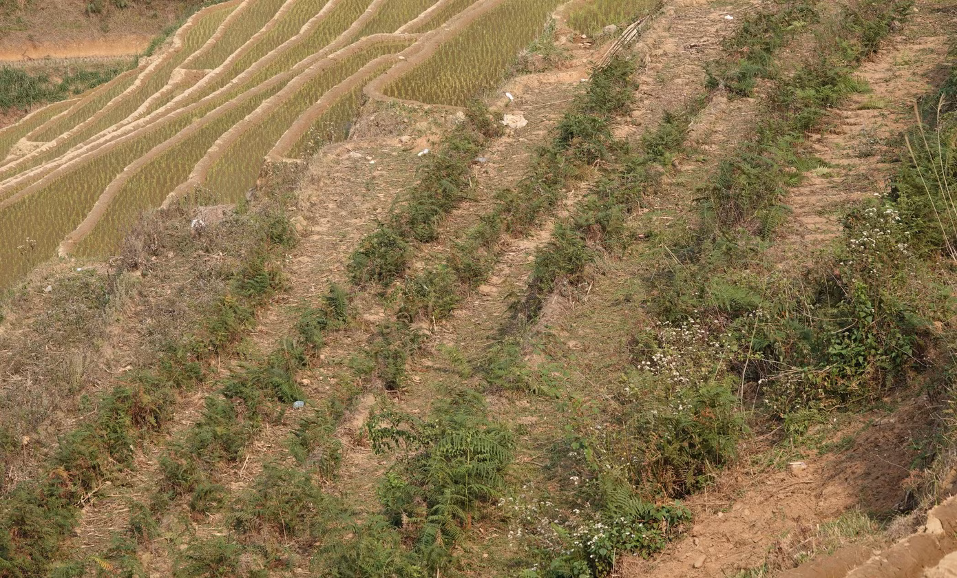 nuoc-13.jpg