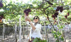 Vận động viên được trải nghiệm đặc sản Khánh Hoà ngay trên đường chạy Tiền Phong Marathon 2026