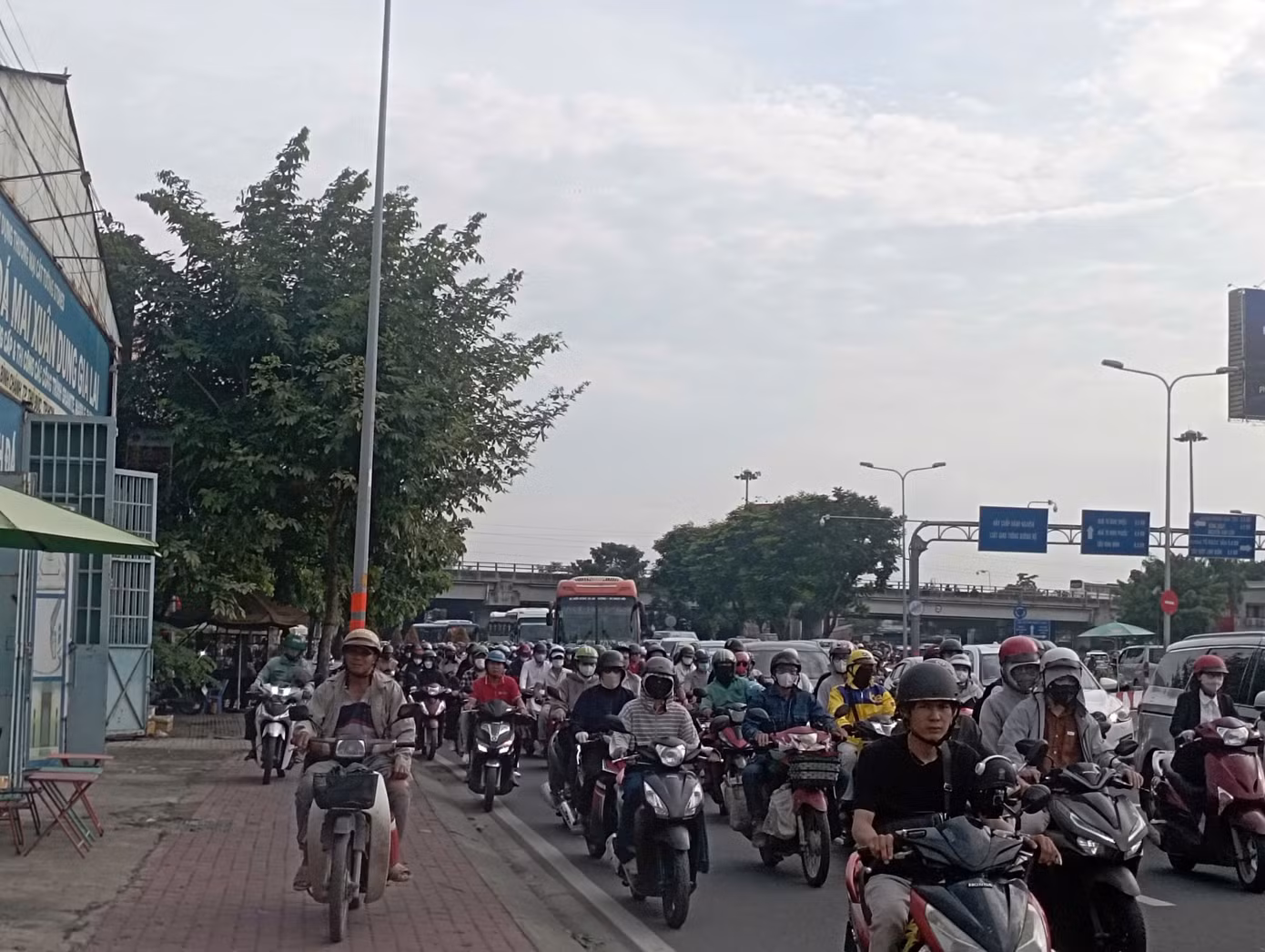 555.jpg