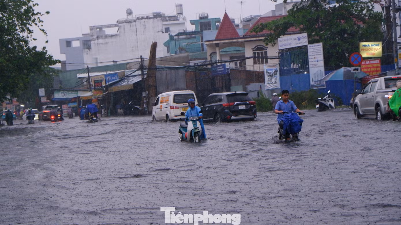 tp-ho-hoc-lam-11.jpg