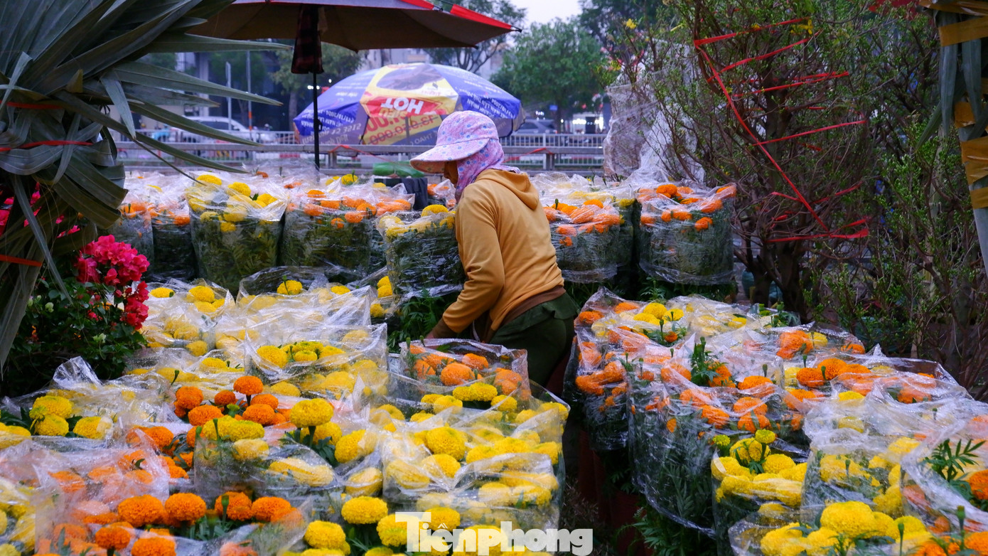 tp-cho-hoa-230302.jpg