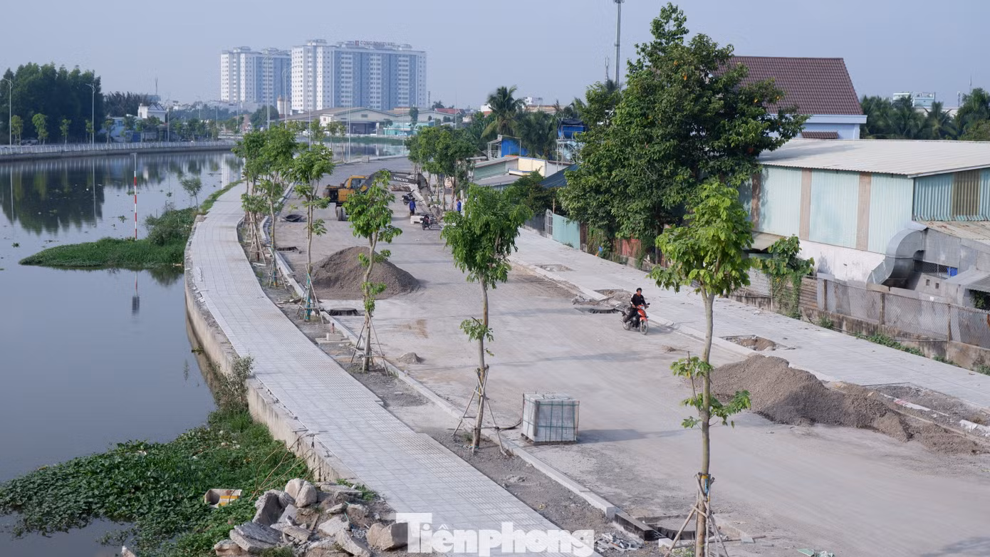 tp-tham-luong-29.jpg