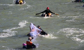 Các loại ngư cụ được dùng đánh bắt cá